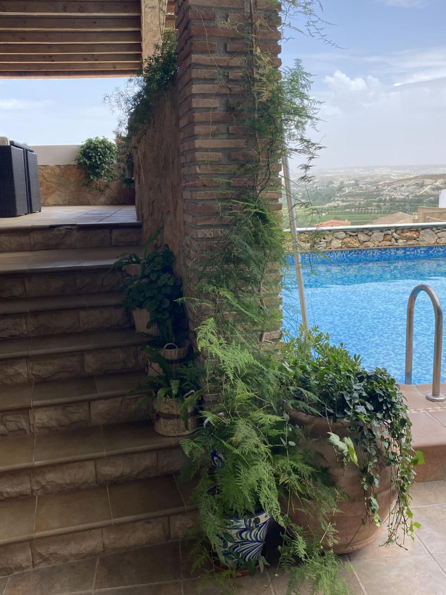 Alhanda Apartahotel Benamaurel Exterior photo